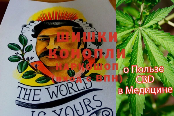 экстази Богданович