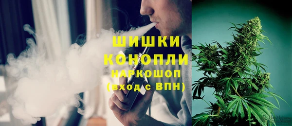 молекула духа Белокуриха